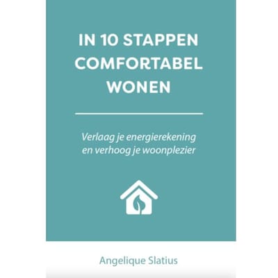 In 10 Stappen Comfortabel Wonen - In 10 Stappen - Angelique Slatius