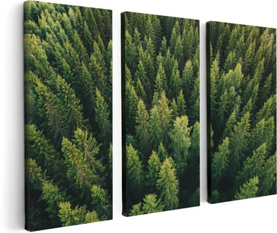 Artaza Canvas Schilderij Drieluik Bos Met Bomen Vanaf Boven - 120x80 - Foto Op Canvas - Canvas Print