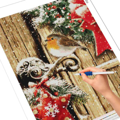 Evershine 5D DIY diamant borduurwerk vogel winter diamant schilderij dier kruissteek sneeuw muur kunst decor Full Square 20X30CM