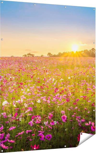 Gards Tuinposter Bloemenveld met Roze Kosmos - 120x160 cm - Tuindoek - Tuindecoratie - Wanddecoratie buiten - Tuinschilderij