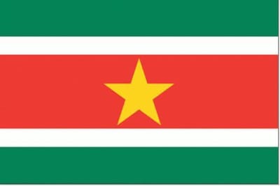 Surinaamse vlag 50x75cm