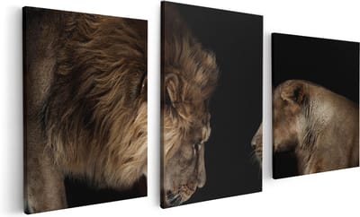 Artaza Canvas Schilderij Drieluik Leeuw En Leeuwin - 120x60 - Foto Op Canvas - Canvas Print