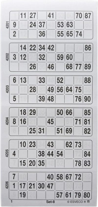 Groot Bingo Ticketblok Systeem 15-90 (600 Tickets)