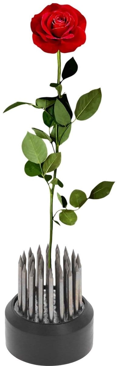 Dailygoods- Bloemenkikker - Kikker van roestvrij staal - 26 mm - Voor bloemstukken - Stabiliteit - Intuïtief ontwerp - Bloemschikking
