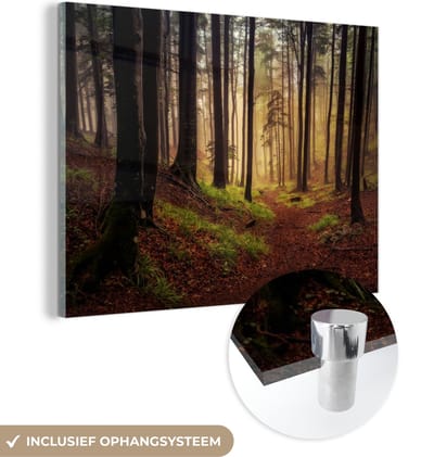 MuchoWow® Glasschilderij 120x90 cm - Schilderij acrylglas - Bomen - Natuur - Bos - Foto op glas - Schilderijen