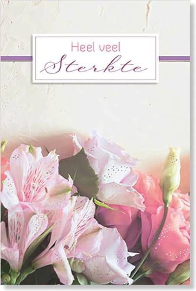MGPcards - 6 Luxe dubbele wenskaarten - Sterkte - Foliedruk - FSC-keurmerk - 11,5 x 17 cm