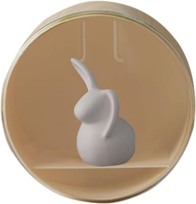 Vitrinekast Poppen - Displaybox Figuren - Collectie Tonen - Wandmontage Mogelijk - 15x15x8 cm - Geel