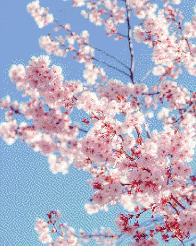 MyHobby Borduurpakket – Japanse sierkers 40×50 cm - Aida borduurstof 5,5 kruisjes/cm (14 count) - Telpatroon - Borduurgaren - Borduurnaald - Handleiding - Voor Beginners & Gevorderden - Complete borduurset