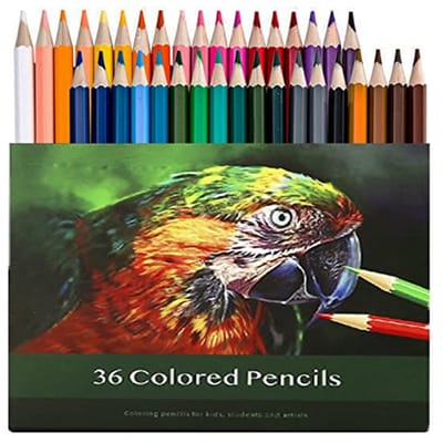 36 Aquarelpotloden voor Volwassenen - Premium Kleurpotloden met Levendige Kleuren en Water Mengeffecten