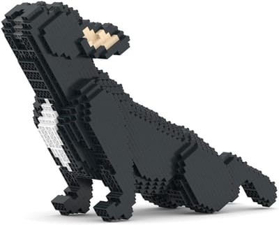 Bouwset Franse Bulldog - 3D Instapmodel Blokjes Speelgoed