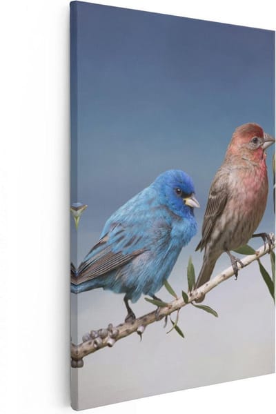 Artaza Canvas Schilderij Vogels Op Tak - 40x60 cm - Wanddecoratie Kleurrijke Vogels - Muurdecoratie Woonkamer - Schilderijen Op Canvas