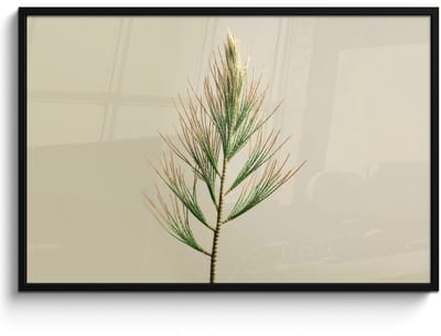 Poster in lijst - Fotolijst 120x80 cm - Posters - Dennentak - Naaldvormige bladeren - Lichtgroen - Posterlijst zwart - Decoratie - Wanddecoratie woonkamer - Muurdecoratie slaapkamer