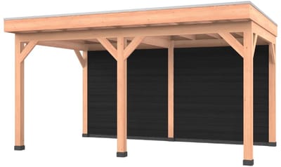 Douglas overkapping, 500 x 300, met zwarte achterwand, Westwood Comfort Premium