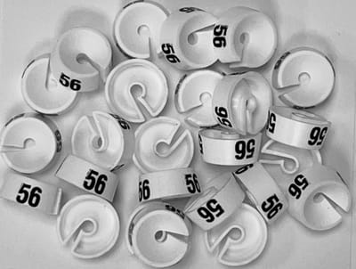 Bleijenberg Maatdopje maat 56 wit - Maataanduiding voor kledinghangers per 25 stuks - Maatringetje Ø 20 mm - Kledinghangers - Kleerhanger - Kapstok - Mark-Brics - wisersizer