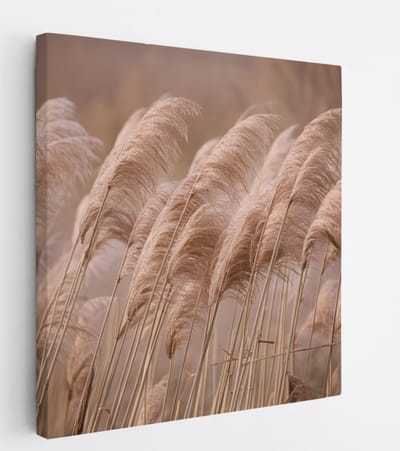 Saammp Canvas Schilderij - Pampas pluimen in de natuur - Bloemen - 20x20 - Foto op canvas - Wanddecoratie - Muurdecoratie Woonkamer - Kantoor Decoratie