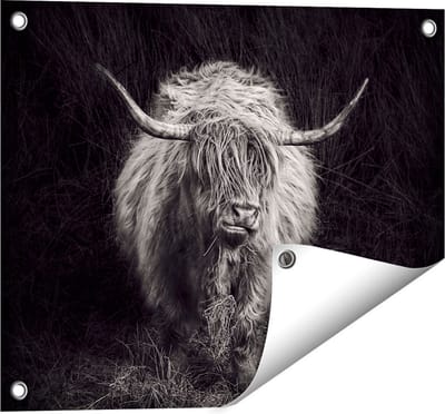 Gards Tuinposter Schotse Hooglander Koe - Zwart Wit - 50x40 cm - Tuindoek - Tuindecoratie - Wanddecoratie buiten - Tuinschilderij