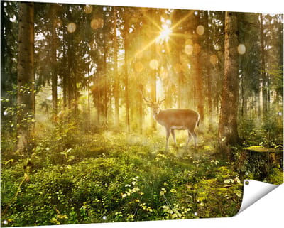 Gards Tuinposter Hert in Bos met Zon - 150x100 cm - Tuindoek - Tuindecoratie - Wanddecoratie buiten - Tuinschilderij