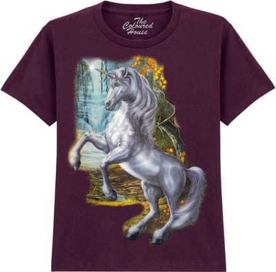 KIDS Eenhoorn Unicorn Of The Willow The Coloured House KIDS T-shirt M