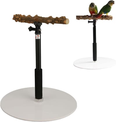 Draagbare Bird Perch - Afneembare Parrot Play Stand voor Indoor - Outdoor - Travel