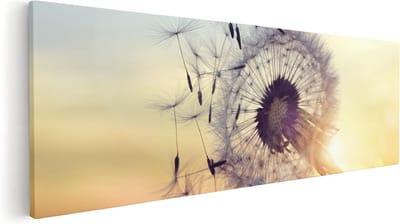 Artaza Canvas Schilderij Paardenbloem Zaadjes - 60x20 cm - Muurdecoratie Wind - Wanddecoratie Woonkamer - Schilderijen Op Canvas