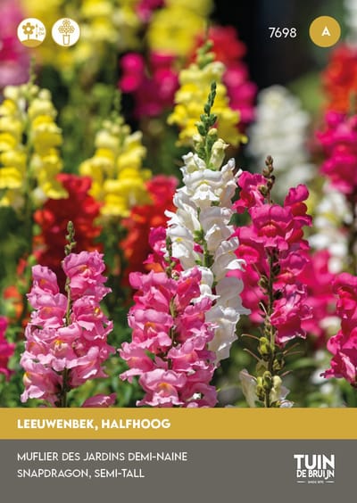 Leeuwenbek Rainbow Mix Zaden – Halfhoog 30-50 cm – Kleurrijke Bloemenmix – Snijbloemen voor Tuin & Balkon – Tuin de Bruijn