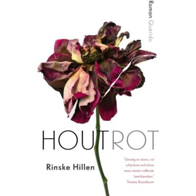 Houtrot - Rinske Hillen
