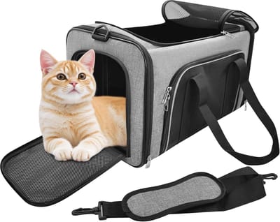 Opvouwbare Kattentransporttas voor Katten en Kleine Honden tot 10 kg - Robuust en Comfortabel met Verborgen Dakraam - 50 x 30 x 30 cm - Paarse Kleur