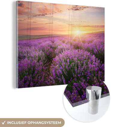 MuchoWow® Glasschilderij 40x30 cm - Schilderij acrylglas - Lavendel - Zon - Bloemen - Foto op glas - Schilderijen