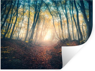 Muurstickers - Sticker Folie - Bos - Mist - Zon - Herfst - 80x60 cm - Plakfolie - Muurstickers Kinderkamer - Zelfklevend Behang - Zelfklevend behangpapier - Stickerfolie