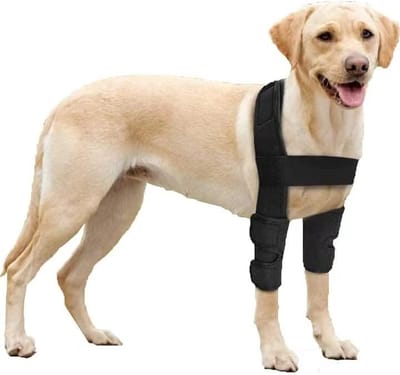 Pet Kniebeschermers - Rehab Kniebeschermer - herstel riem beugel - elleboog beschermer - L - Zwart - voor Honden Voorpootbeugels - Helpt bij Verwondingen Verstuikingen - postoperatieve artritis