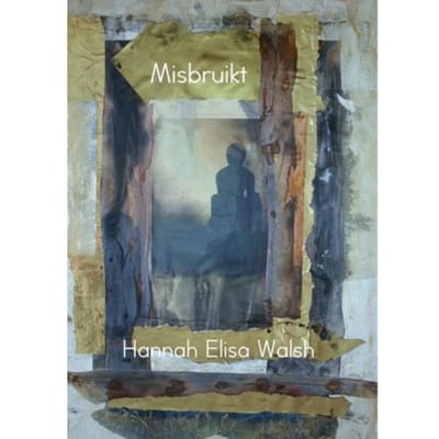 Misbruikt - Hannah Elisa Walsh
