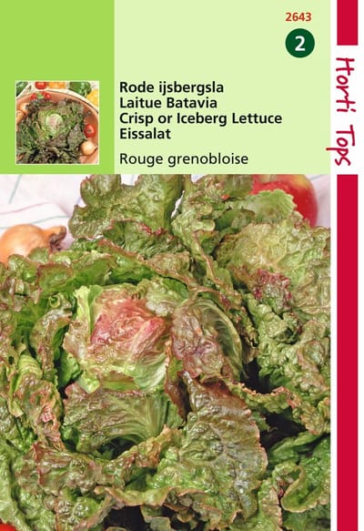2 stuks - Hortitops - Kropsla Rouge Grenobloise