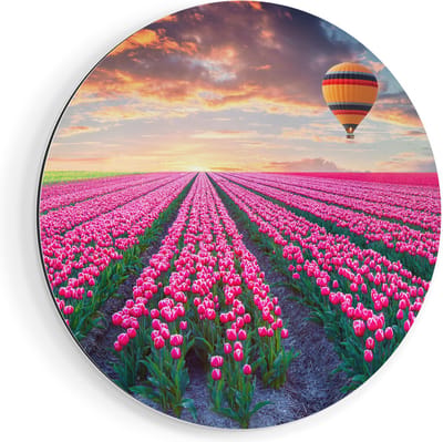 Artaza Dibond Muurcirkel Bloemenveld Met Roze Tulpen - Luchtballon - Ø 80 cm - Groot - Wandcirkel - Rond Schilderij - Voor Binnen en Buiten