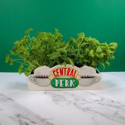 Friends - Central Perk - Table Top Vase