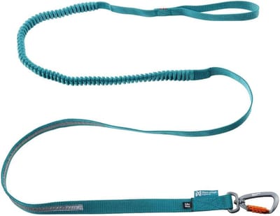 Hondenriem Elastisch - Hondenlijn Flexibel - Wandelen Outdoor - Schokabsorberend Ontwerp - 120cm 23mm - Turquoise