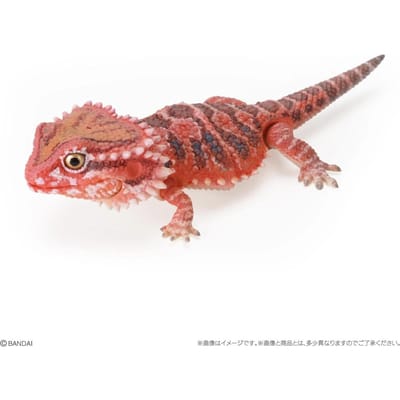 Echte Populariteit Gacha Biologische Encyclopedie Japanse Hagedis Baardagaam Actiefiguur Model Perfect Speelgoed