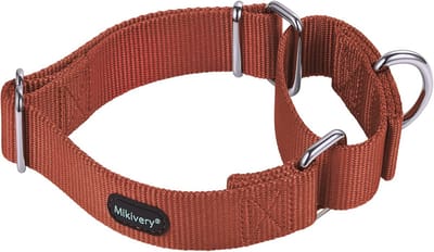Verstelbare Martingale Hondenhalsband - Nylon, Veiligheidstraining, Comfortabele Metalen Gesp, Geschikt voor Kleine, Middelgrote en Grote Honden