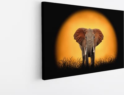 Saammp Canvas Schilderij - Olifant voor de zon - Natuur - Dieren - 45x30 - Foto op canvas - Wanddecoratie - Muurdecoratie Woonkamer - Slaapkamer decoratie - Canvas Print
