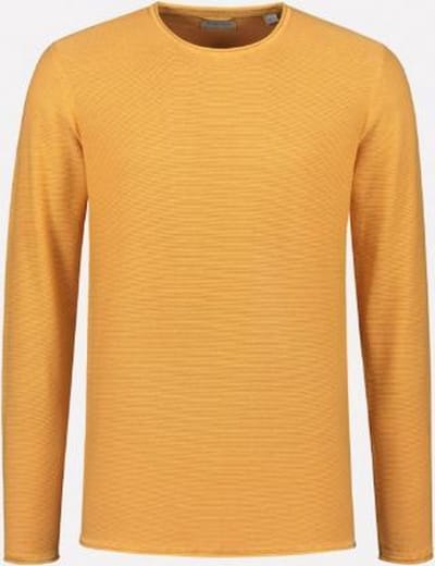 Pullover Ronde Hals Slim Fit Oranje (405254 - 441)