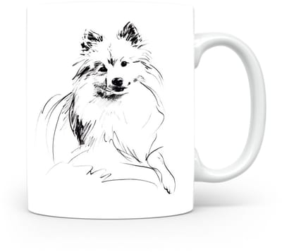 Beker Keeshond