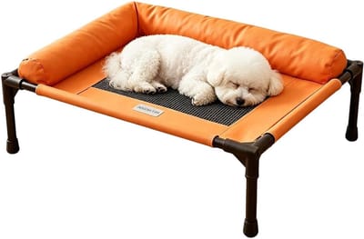 Hondencampingbed - Verhoogd huisdierbed - Buiten ontspannen - Ademend mesh-ontwerp - 61 x 16.5 x 16.5 cm - Meerkleurig