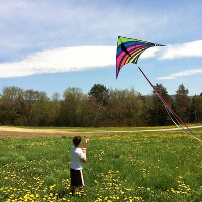 Kleurige Delta Vlieger voor Kinderen en Volwassenen - Eenvoudig te Vliegen en Geschikt voor Beginners met 100 Meter Koord
