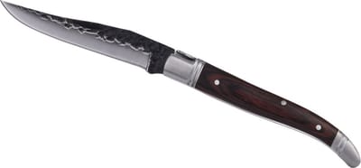 Laguiole - Vouwmes Black Hammer - Compact design - RVS lemmet