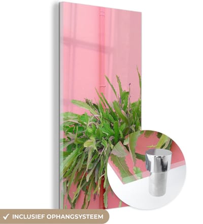 MuchoWow® Glasschilderij 20x40 cm - Schilderij acrylglas - Plant - Zomer - Roze - Foto op glas - Schilderijen
