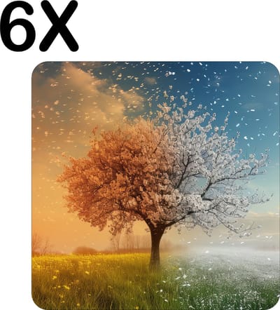 Luxe Placemat - Boom in Alle Seizoenen - Lente - Zomer - Herfst - Winter - Set van 6 Placemats - 50x50 cm - 2 mm dik Vinyl - Anti Slip - Afneembaar