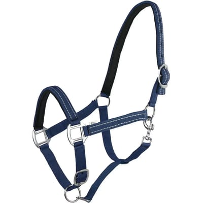 Halster voor paarden York Teo