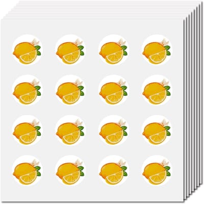 Dailygoody - Citroenplanner Stickers - DIY Stickers voor Planners - 512 stuks - Zelfklevende Stickers - Creatieve Decoratie voor Agenda's - Gesch