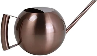 Gieter Lange Mond - Sproeier Plantenbak - Binnenplanten Water Geven - Roestvrij Staal Constructie - 1000 ml Capaciteit - Goud