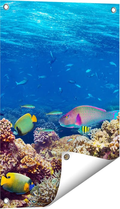 Gards Tuinposter Vissen met Koraalrif in de Oceaan - 40x60 cm - Tuindoek - Tuindecoratie - Wanddecoratie buiten - Tuinschilderij