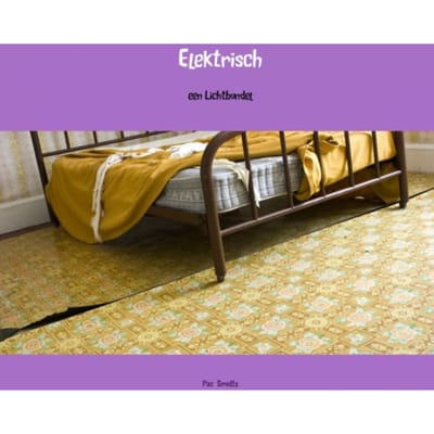 Elektrisch - Paz Smidts